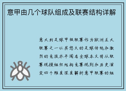 意甲由几个球队组成及联赛结构详解